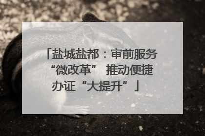 盐城盐都：审前服务“微改革” 推动便捷办证“大提升”